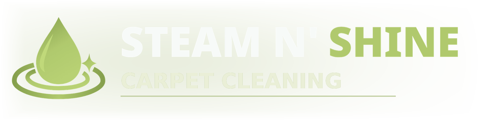 Steam N' Shine Carpet Cleaning logo