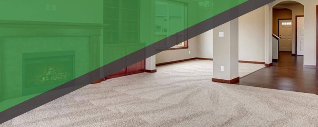 Carpet Cleaning Coconut Grove