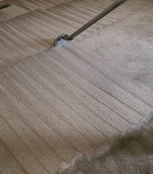 Carpet Cleaning South Florida FL