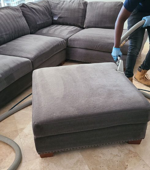 Upholstery Cleaning Davie