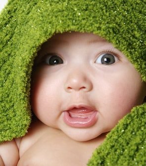 Carpet Cleaning Cooper City, Green Cleaning