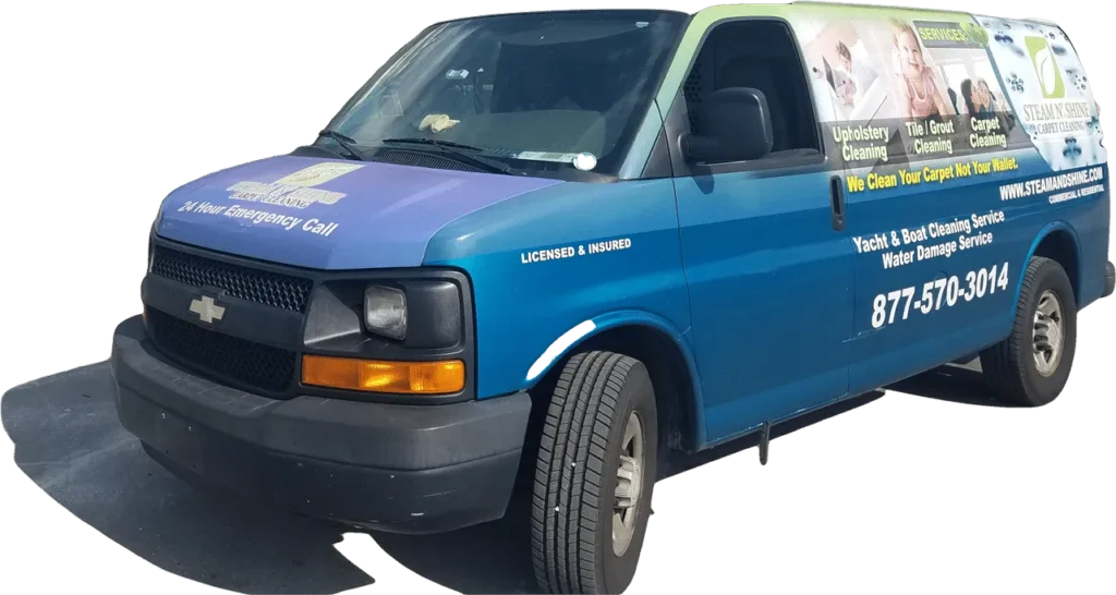 Steam and Shine Carpet Cleaning Service