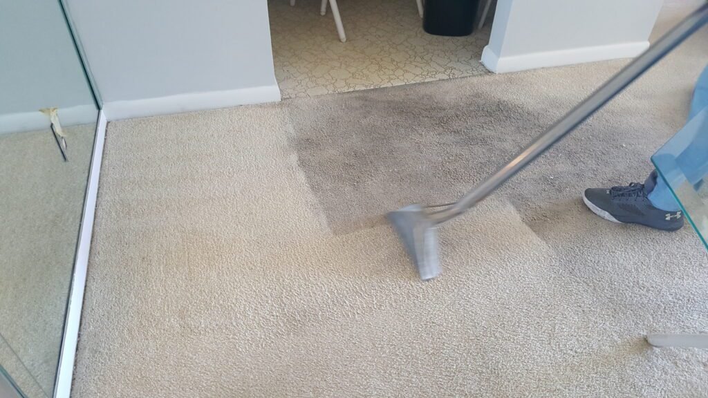carpet cleaning south florida fl