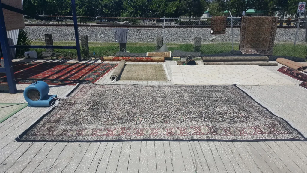 Area Rug Cleaning Coral Gables