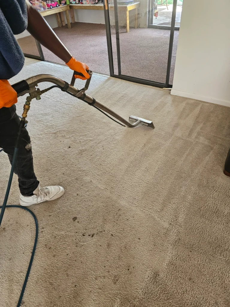 Carpet Cleaning Coral Springs