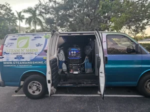 Professional Cleaning Service in Wellington