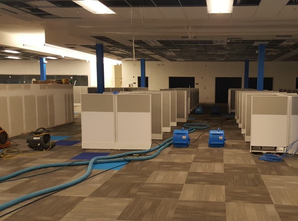 Air movers and water extraction hoses set up across an office floor for water damage drying