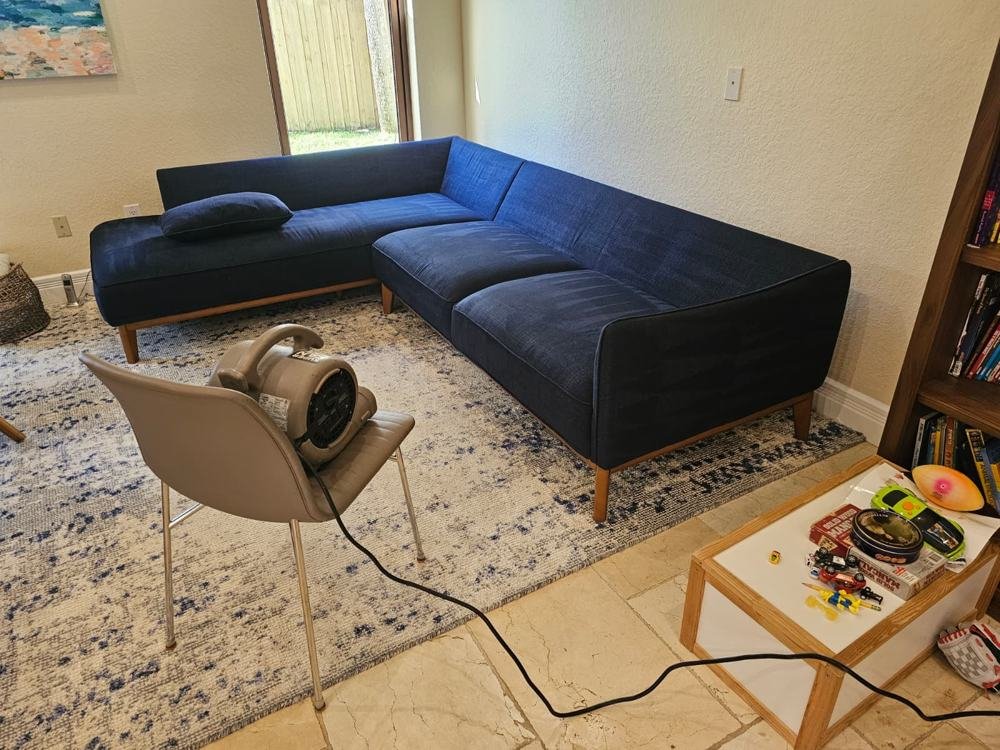 Navy sectional sofa drying after upholstery cleaning