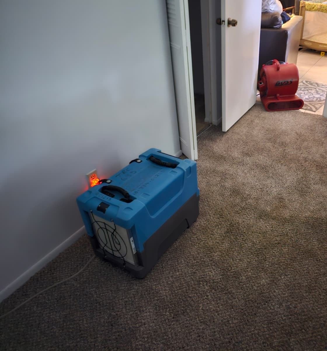 Blue dehumidifier drying wet carpet in a home after water damage