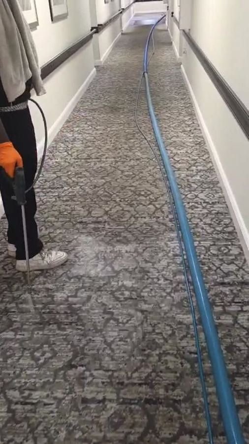 Carpet cleaning hose along an indoor hallway