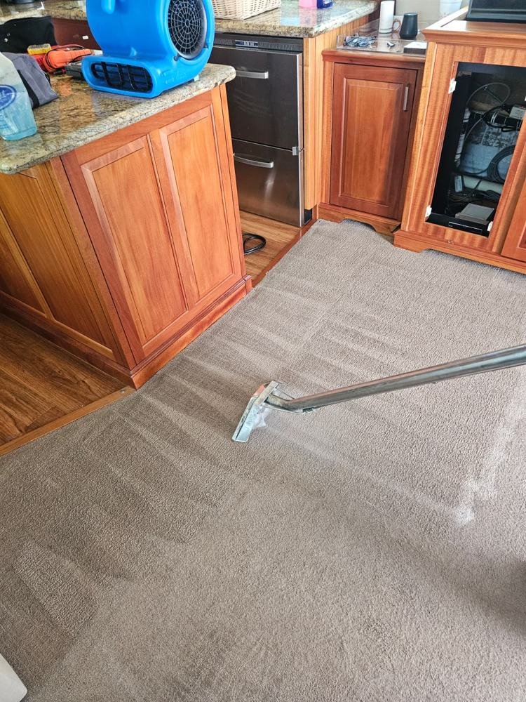 Yacht galley carpet steam cleaned with air mover drying