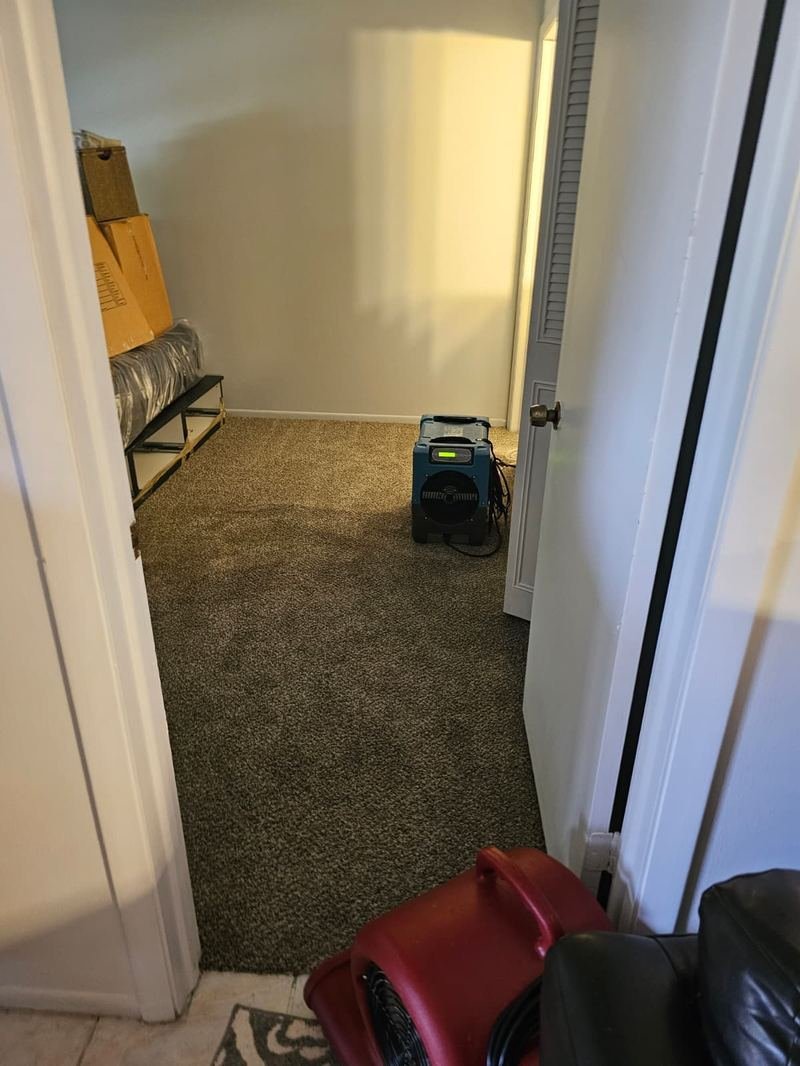 Dehumidifier and red air mover drying carpet through a doorway in a home