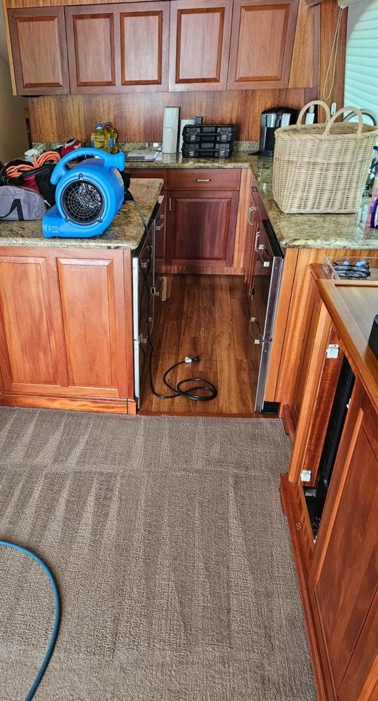 Yacht galley carpet cleaned in clean stripes