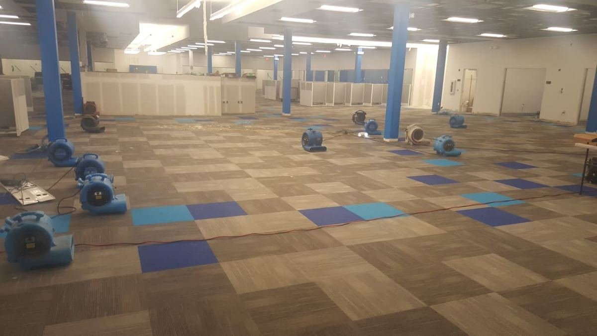 Air movers drying carpet in a large commercial office during a water damage restoration job