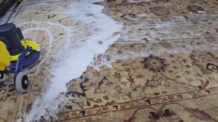 Rotary machine scrubbing a wool area rug with cleaning foam