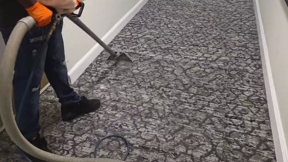 Carpet cleaning Deerfield Beach - Steam N’ Shine team steam cleaning carpet
