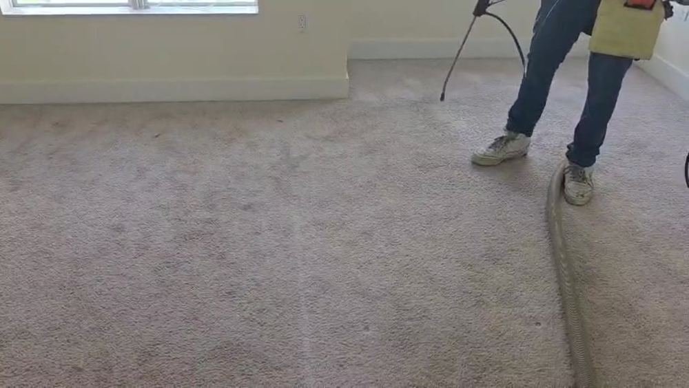 Carpet cleaning Lauderdale By The Sea - Steam N’ Shine team steam cleaning carpet