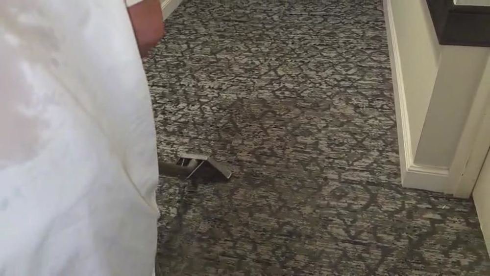 Oakland Park carpet cleaning - Steam N’ Shine team steam cleaning carpet