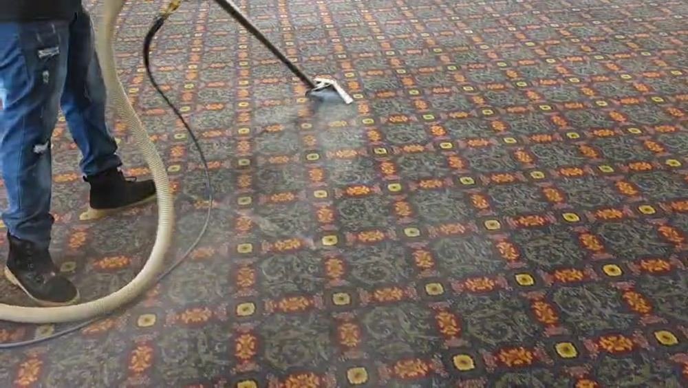 Carpet cleaning Tamarac - Steam N’ Shine team steam cleaning carpet